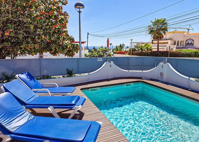 Crispa 알부페이라